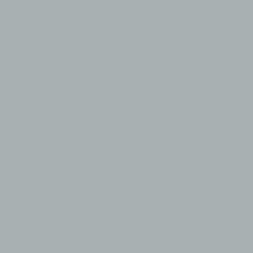 PPG1039-3